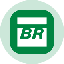 Petrobras Tokenized Stock (Ondo) icon